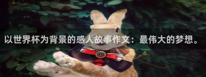 世界杯对阵图2026:以世界杯为背景的感人故事作文:最伟大的梦想。