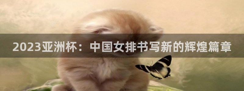 世界杯今日赛程直播:2023亚洲杯:中国女排书写新的辉煌篇章