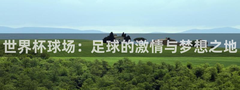 世界杯预选赛规则:世界杯球场:足球的激情与梦想之地