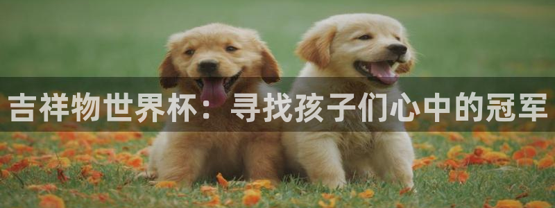 2026男足世界杯赛程:吉祥物世界杯:寻找孩子们心中的冠军