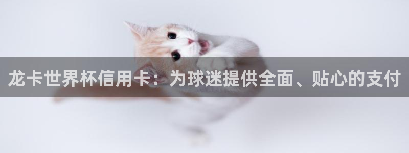 2026年世界杯时间表:龙卡世界杯信用卡:为球迷提供全面、贴心的支付