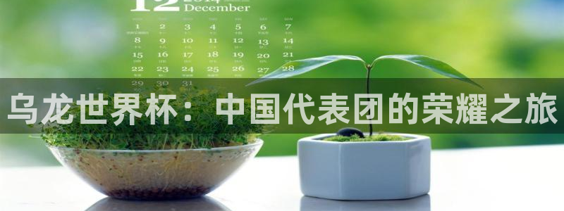 世界杯直播网站:乌龙世界杯:中国代表团的荣耀之旅