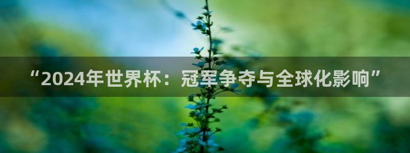 世界杯预赛赛程:“2024年世界杯:冠军争夺与全球化影响”