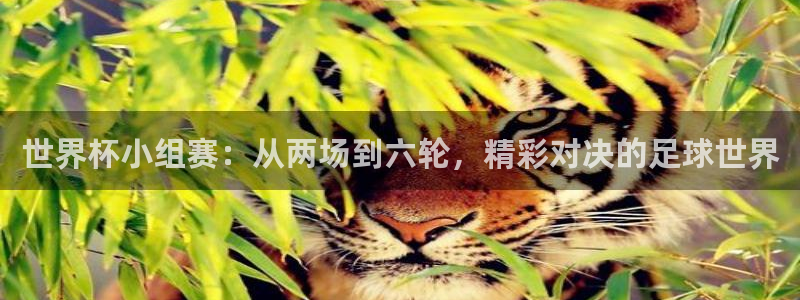 2026世亚预赛赛程表:世界杯小组赛:从两场到六轮,精彩对决的足球世界