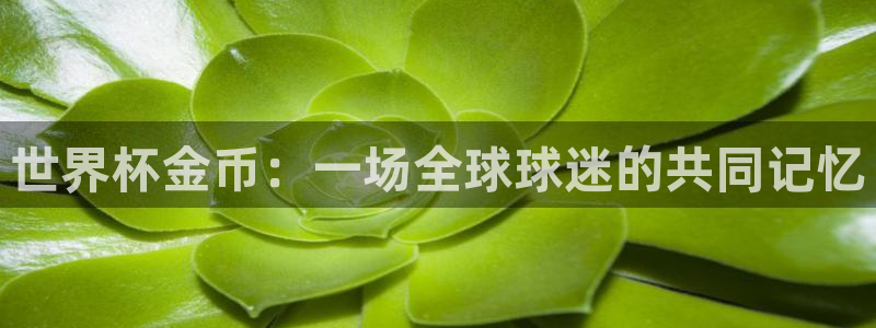 世界杯球队:世界杯金币:一场全球球迷的共同记忆