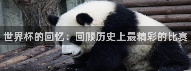 2026男足世界杯:世界杯的回忆:回顾历史上最精彩的比赛